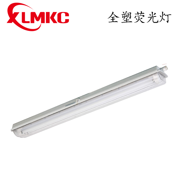 BYS系列防爆防腐全塑熒光燈(IIC)