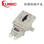 BHZ51系列防爆轉(zhuǎn)換開關(guān)(IIB、IIC)
