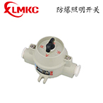 SW-10系列防爆照明開關(guān)(IIB、IIC)