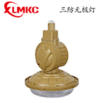 BZD-01防爆免維護低碳無極燈(IIC)