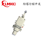 LX5系列防爆行程開關(guān)(IIB、IIC)