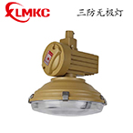 BZD-02防爆免維護低碳無極燈