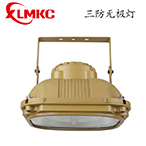 BZD-03防爆免維護低碳無極燈