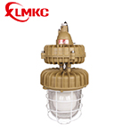 BZD-05防爆免維護低碳無極燈