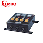 ZXF8044系列防爆防腐控制箱(IIB、IIC)