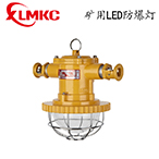 礦用隔爆型LED巷道燈 DGS10/18/24/127L(A)系列