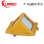 礦用隔爆型LED巷道燈 DGS40/127L(A)