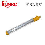 礦用隔爆型LED巷道燈 DGS18/24/30/36L(A)