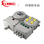 防爆配電箱 BXM(D)