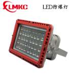 BZD188-02系列防爆免維護(hù)LED泛光燈